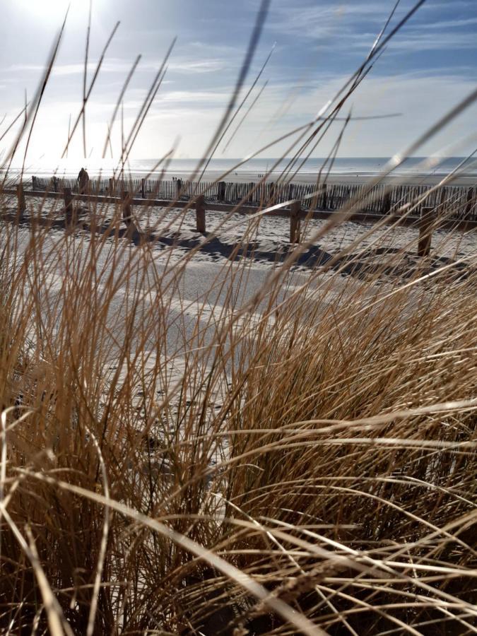 Les Obiones: Beachfront Studio with Sea View in Fort Mahon Plage Exterior photo